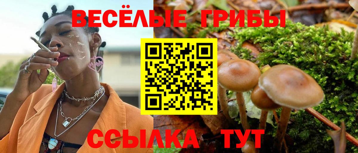 Галлюциногенные грибы Cubensis  Вход с VPN  Реж 