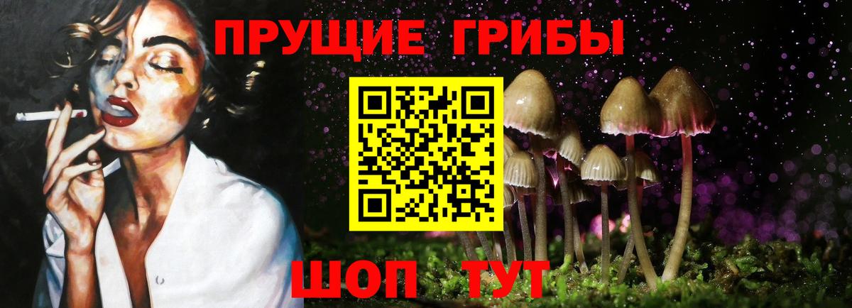 Галлюциногенные грибы Psilocybe Реж